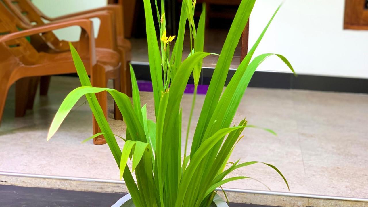 Sigiri Starwing Villa 锡吉里亚 外观 照片